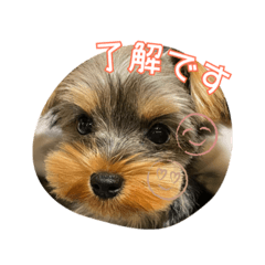 Junko_20250916153505