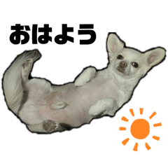 Saaya._20250916083231