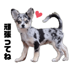 Saaya._20250916083149