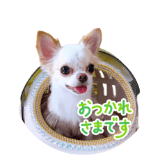 kohime_20250916082810