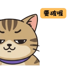 宅咪一下-日常生活