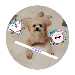 KAIGARA_20250912183417