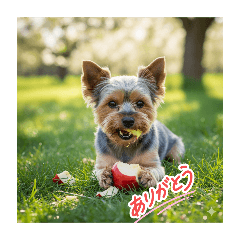 sugar_20250915142827