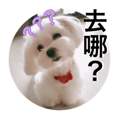 麵包公主事很多