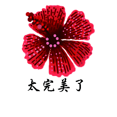 Red Hibiscus Flower drawing