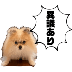 Pechico_20250916125824