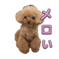 Yuka_20250916131303