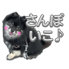 Momoko_20250916132459