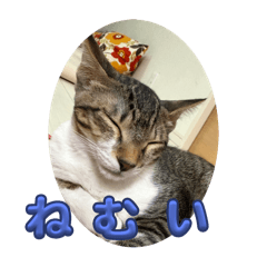 HIROKI_20250916173105