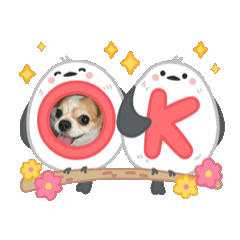 Yukiko_20250916235614