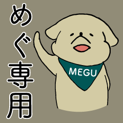 She name is Megu. (Dog)