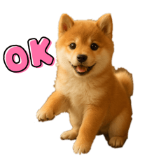 reireiREINA_20250916192307