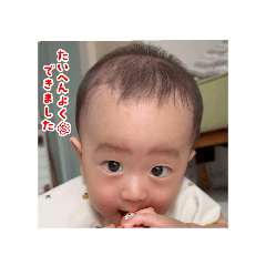 cherry_20250916191914