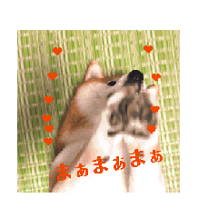 yuka_20250916231415