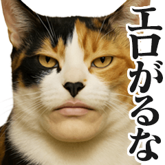 A strong-willed Mewing cat