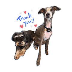 moochi_20250915183215