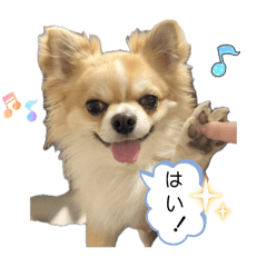 Chisakorori_20250916223510