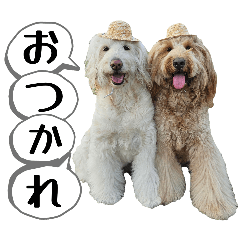 misa.mizu_20250916212644