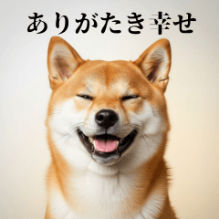 Professor Shiba's Lesson on Politeness