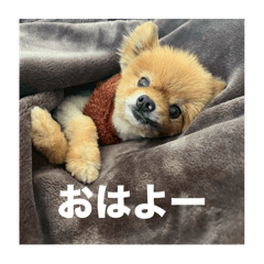 Daisy_20250916185655