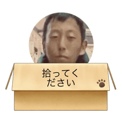 koko_20250916220215