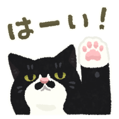 ひげねこの日常◇動くスタンプ