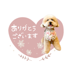 nonnoon_20250916213949