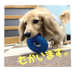 Charlie_20250916214308
