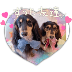 yuka_20250916221820