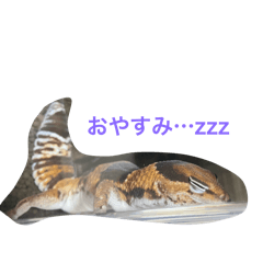 kitamu_20250917011807
