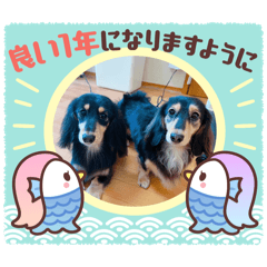 yuka_20250917000721