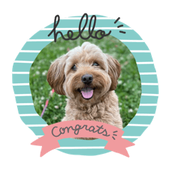 Annie_20250917104906