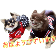 kohime_20250917103846