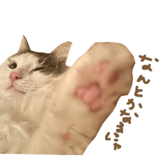 7lonxy_20250917024757