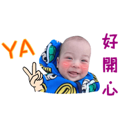 雙品兄弟的日常