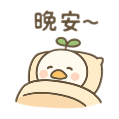 奇葩鴨