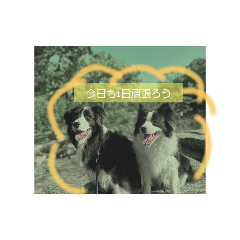 PONHANA_20250917115606