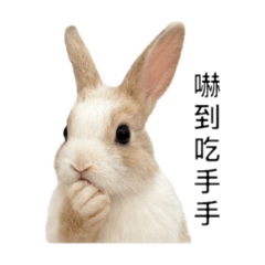 可愛的多米可可杯麵飯糰