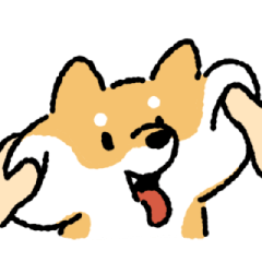 屁柴的每日耍寶