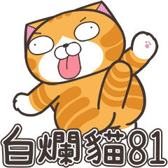 Lan Lan Cat 81