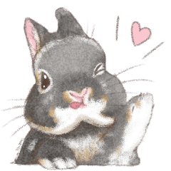 「立ち耳うさぎ（ブラックオター）」