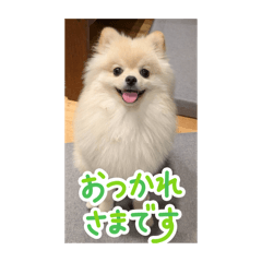 hanabi_20250917010749