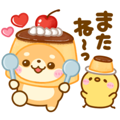 豆柴日和♡スイーツタイム