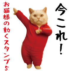 お猫様の動くスタンプ5