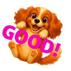 MOMO24_20250917102255