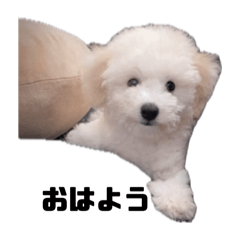 m_20250917124414