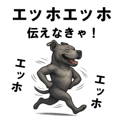 Ehho Ehho, Pit Bull BIG must tell!