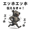 Cães