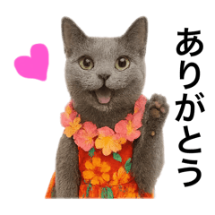 shiho_20250917124351