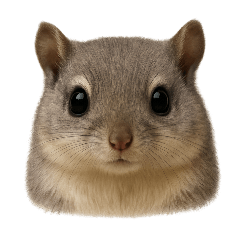 Japanese flying squirrel.